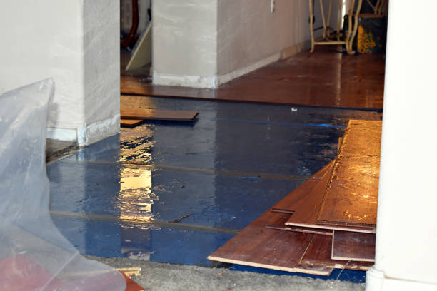 Professional Burst Pipe Cleanup technician working in Webster, TX